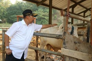 Pemda Kota Cirebon Bakal Maksimalkan Program Padat Karya di Argasunya