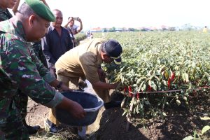 Wali Kota Cirebon Akan Pertahankan Lahan Produktif